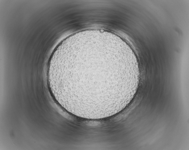 X0000111431235200908241115
