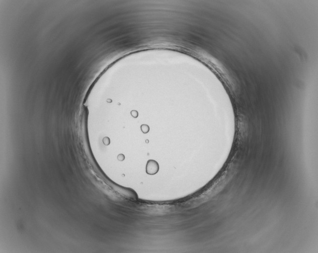 X0000111431236200908241115
