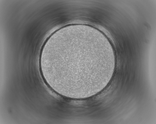 X0000111431237200908241115