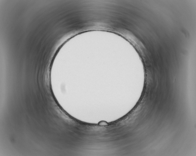 X0000111431238200908241115