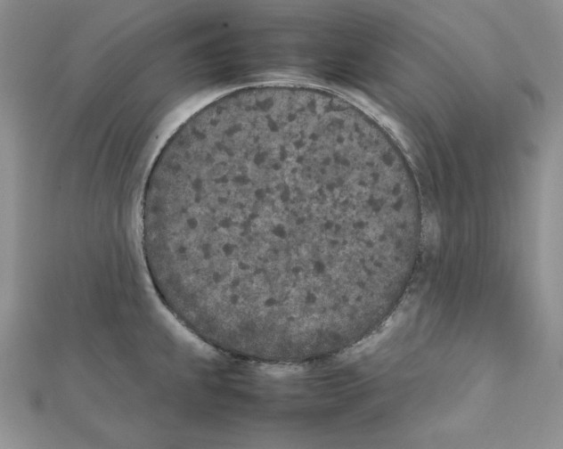 X0000111431239200908241115