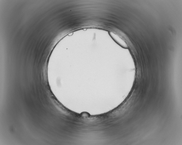 X0000111431242200908241115