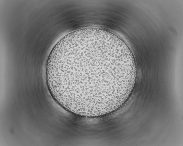 X0000111431243200908241115