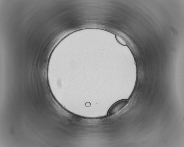 X0000111431244200908241115