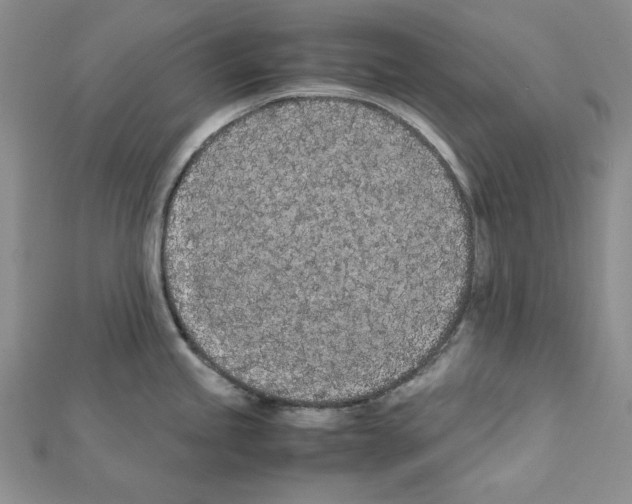 X0000111431245200908241115