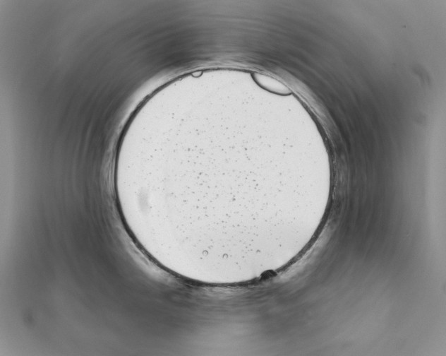 X0000111431246200908241115