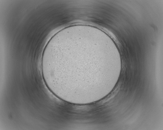 X0000111431247200908241115