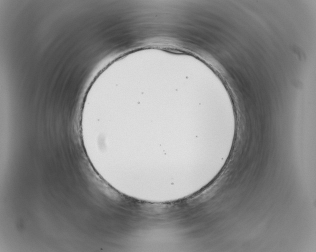 X0000111431248200908241115