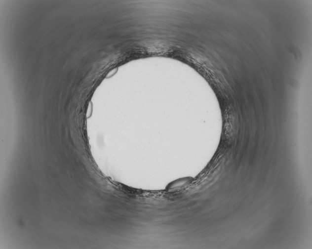 X0000111431249200908241114