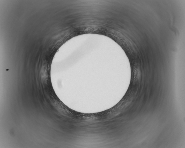 X0000111431250200908241114