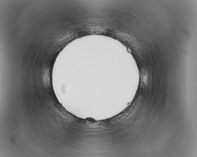 X0000111431252200908241114
