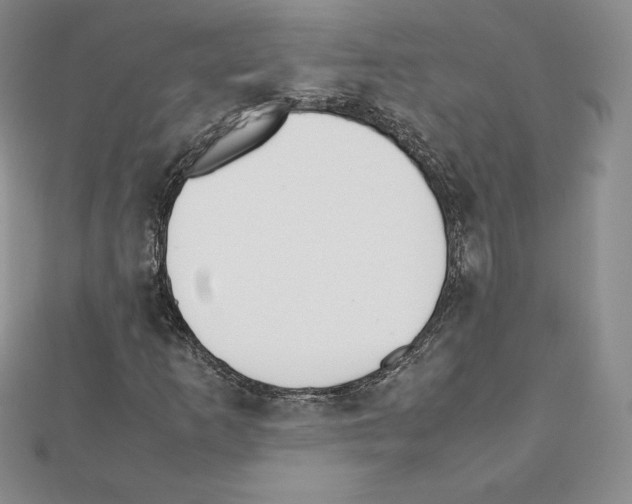 X0000111431253200908241114