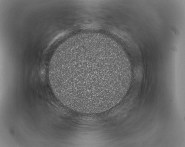 X0000111431254200908241114