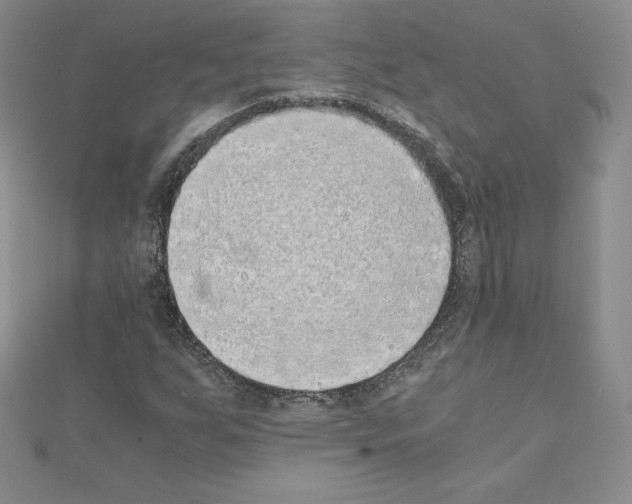 X0000111431255200908241114
