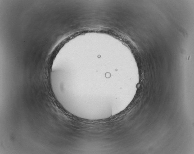 X0000111431256200908241114