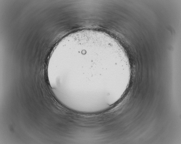 X0000111431257200908241114