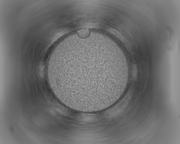 X0000111431258200908241114