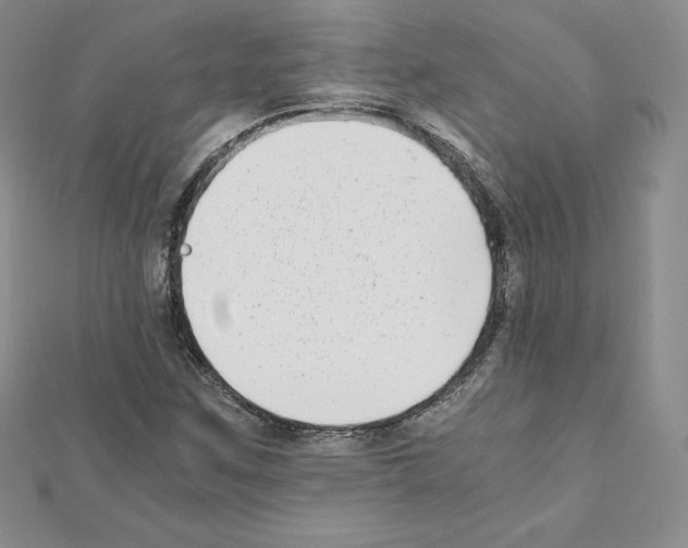 X0000111431259200908241114