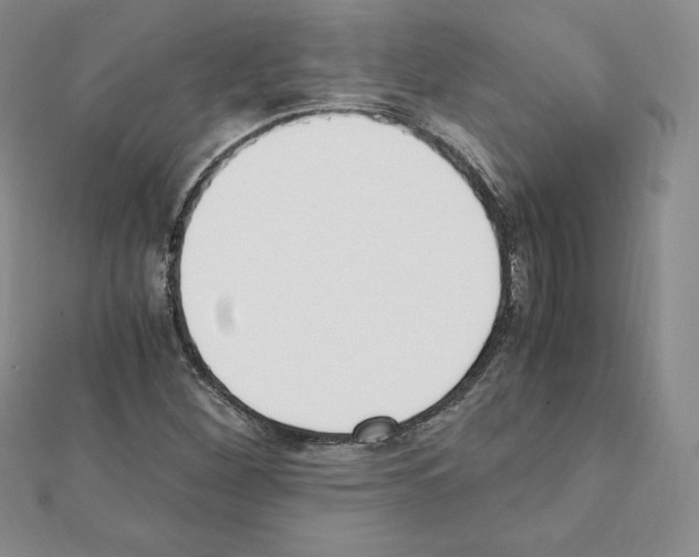 X0000111431260200908241114