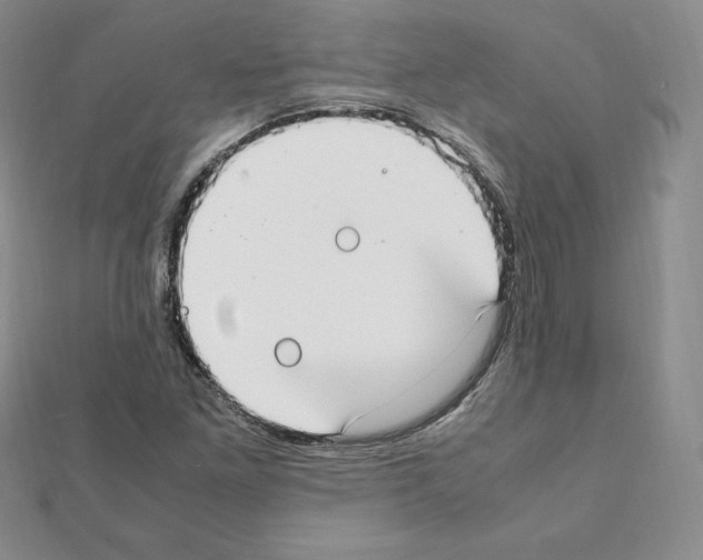 X0000111431261200908241114
