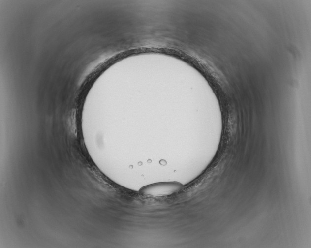 X0000111431262200908241114