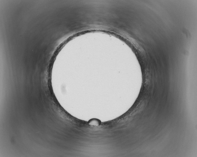 X0000111431264200908241114