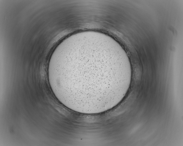X0000111431266200908241114