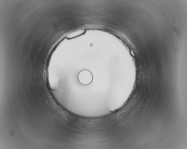 X0000111431268200908241114