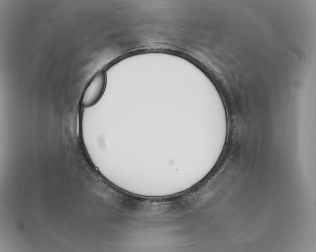 X0000111431269200908241114