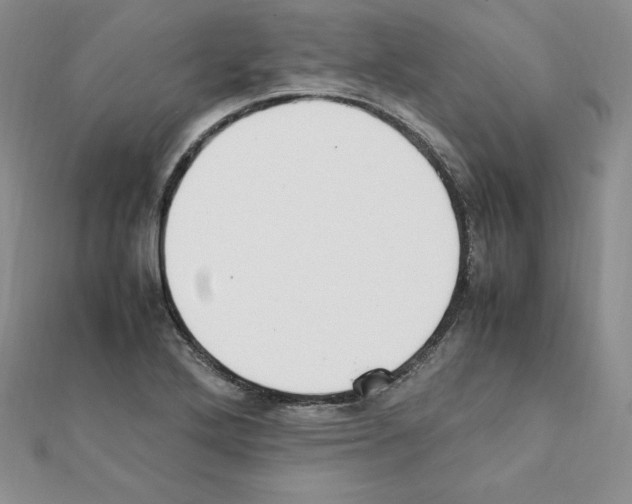X0000111431272200908241114