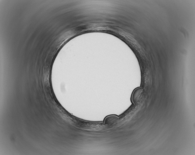 X0000111431273200908241114