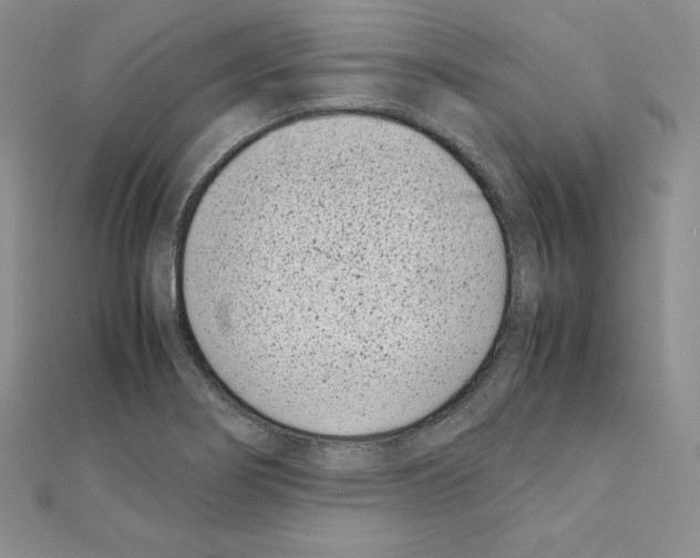 X0000111431274200908241114