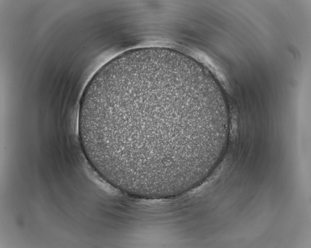 X0000111431276200908241114