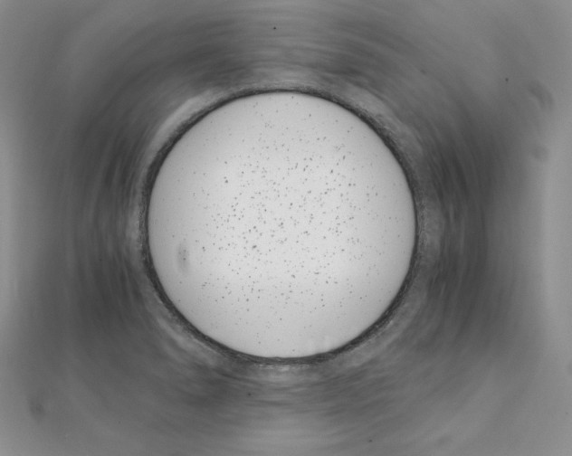 X0000111431278200908241114