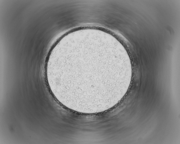 X0000111431279200908241114