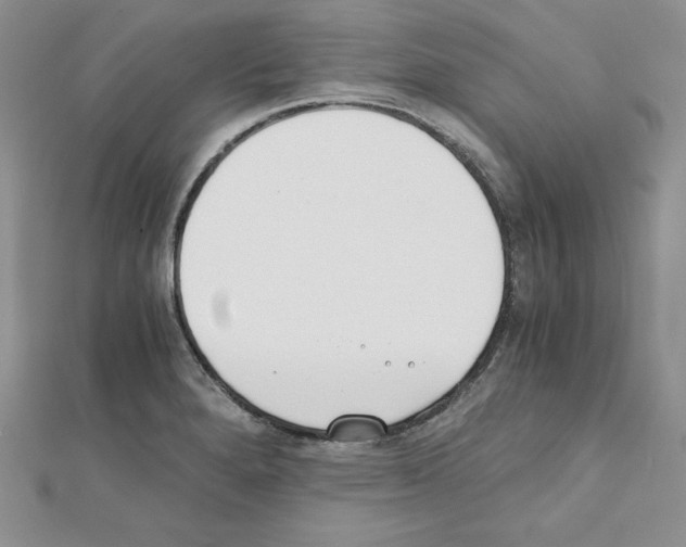 X0000111431280200908241114