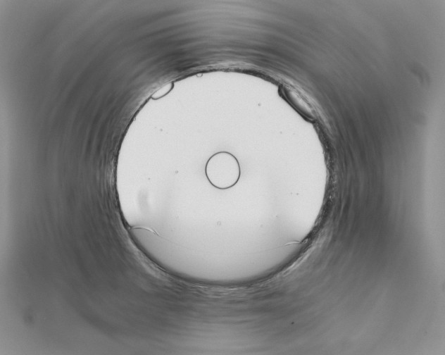 X0000111431281200908241114