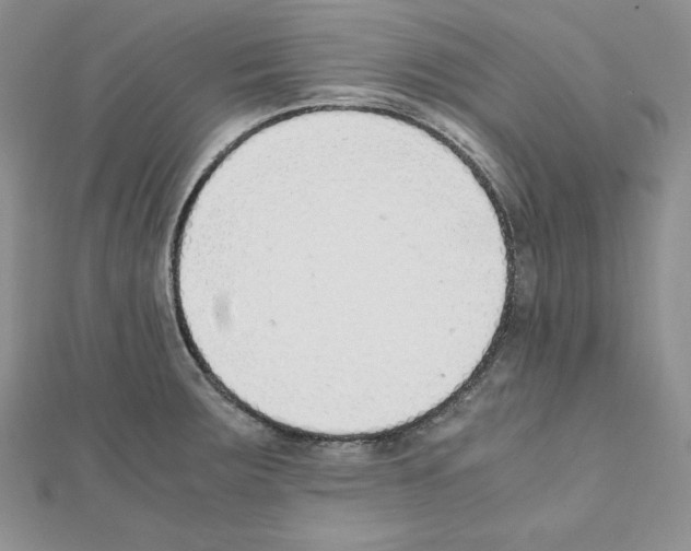 X0000111431283200908241114