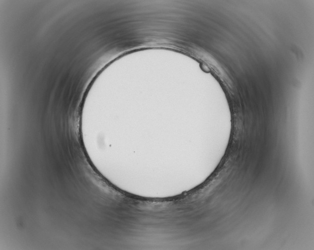 X0000111431284200908241114