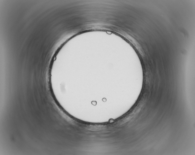 X0000111431285200908241114