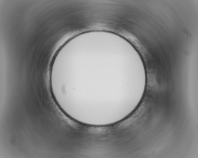 X0000111431286200908241114