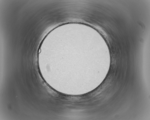 X0000111431287200908241114