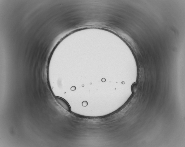 X0000111431288200908241114