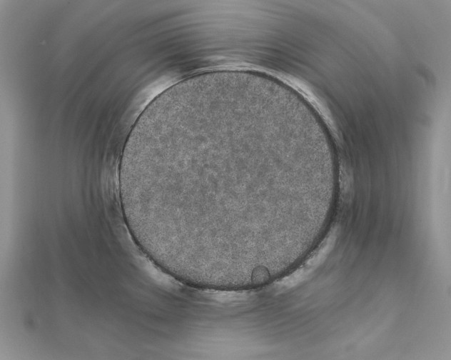 X0000111431289200908241114