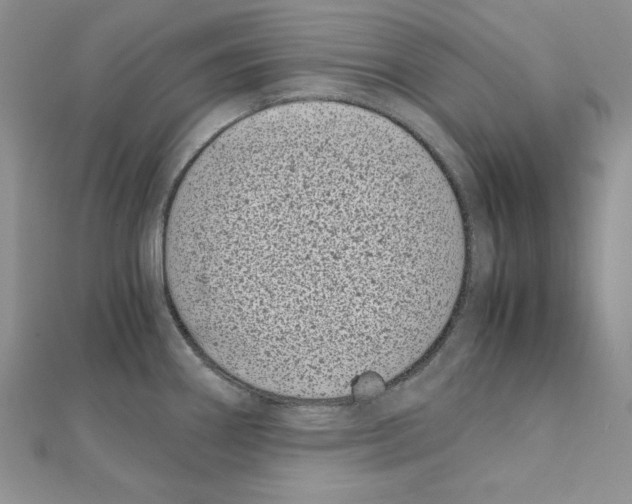 X0000111431290200908241114