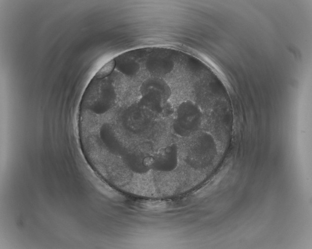 X0000111431291200908241114