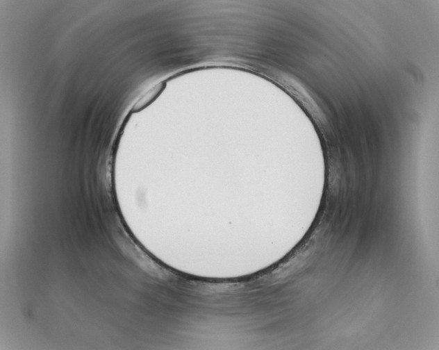 X0000111431292200908241114