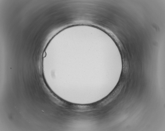 X0000111431295200908241113