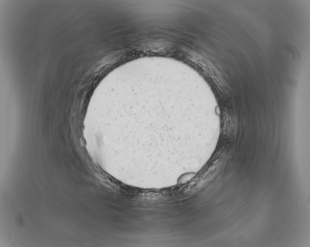 X0000111431297200908241113