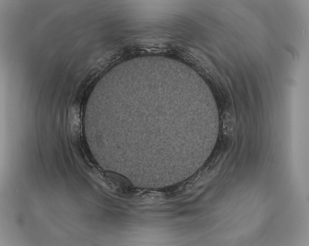 X0000111431298200908241113